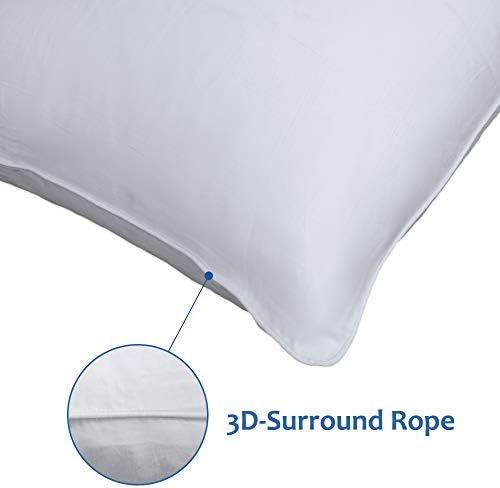 Precoco Pillow Cases Set of 2 600 Thread 100 Cotton