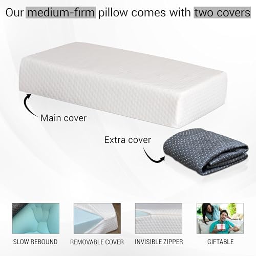 PALTEX 24x12x4 Pillow Cube for Side Sleepers with 2 Pillow Cases
