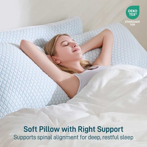 Aveallore Shredded Memory Foam Cooling Queen Pillow