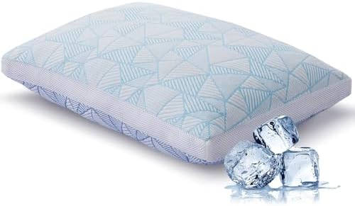 Cotelovo Cooling Bamboo Viscose Queen Pillow