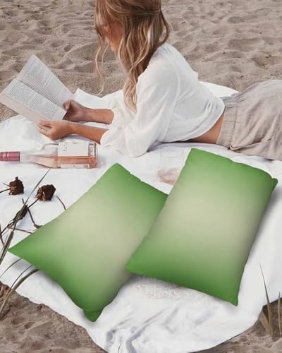 Waterproof Pillow Protector 2 Pack with Zipper
