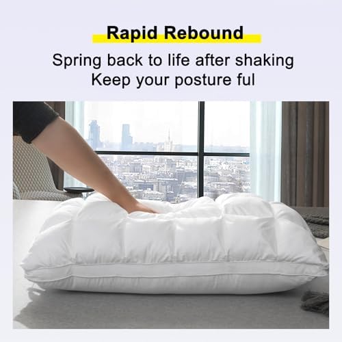 YOUR MOON Queen Size Soft Pillow with Cotton Cover