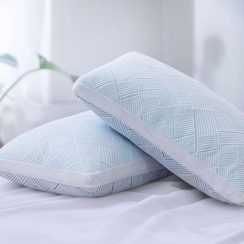 Cotelovo Shredded Memory Foam Cooling Bamboo Viscose Queen Pillow Set of 2