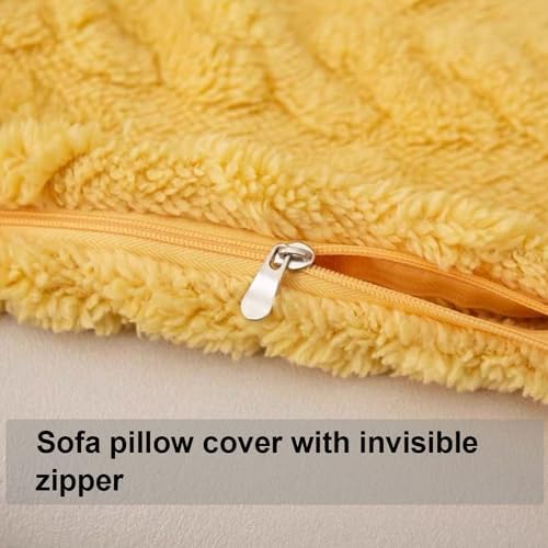 ZEaink Zipper Pillow Covers Set of 2 - 18x18 Microfiber Luxury