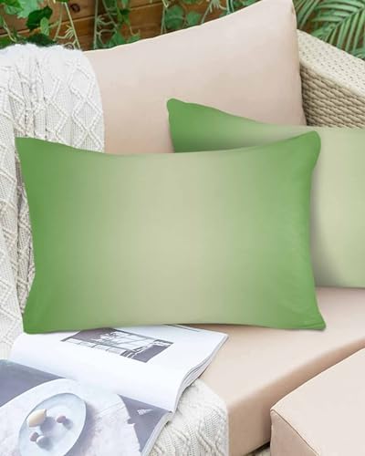 Waterproof Pillow Protector 2 Pack with Zipper