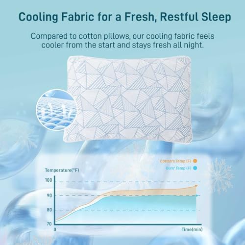 Sylvaris Bamboo Viscose Cooling Pillows Set of 2