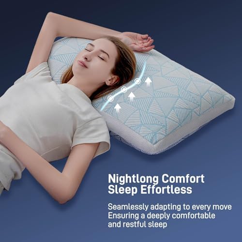 Paxavofa Shredded Memory Foam Cooling Bamboo Viscose Queen Pillow