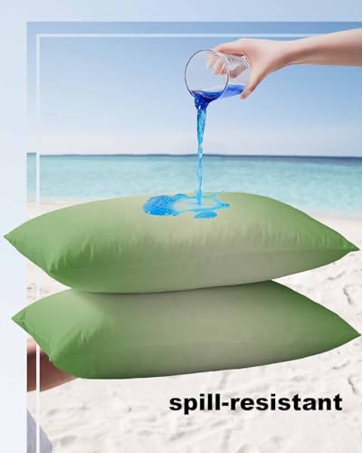 Waterproof Pillow Protector 2 Pack with Zipper