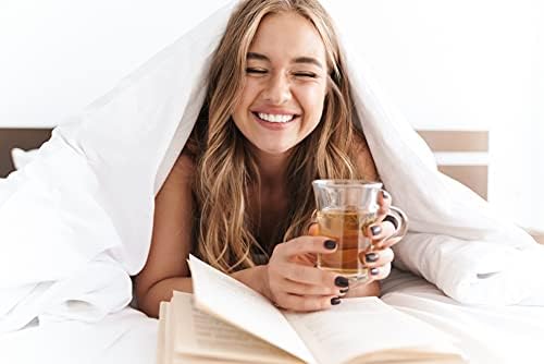 Elegant Comfort 2-Pack Luxury Flat Sheet 1500 TC Microfiber