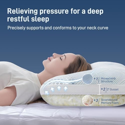 Cotelovo Shredded Memory Foam Cooling Bamboo Viscose Queen Pillow Set of 2