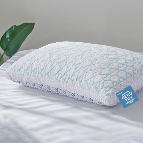 Cotelovo Shredded Memory Foam Cooling Bamboo Viscose Pillow Queen Size