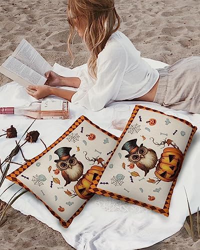 Waterproof Pillow Protector 2 Pack - Halloween Themed