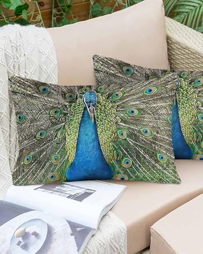 Waterproof Pillow Protector 2 Pack - 12x20 Inch