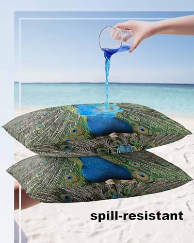 Waterproof Pillow Protector 2 Pack - 12x20 Inch