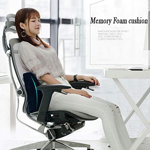 Memory Foam Lumbar Support Pillow for Back Pain Relief
