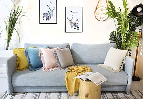 Velvet Throw Pillow Cases with Tassels 18x18 Pack of 2 Gray