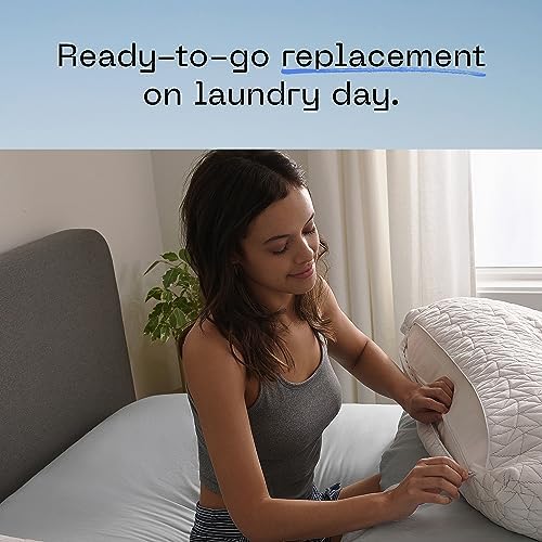 Coop Home Goods Original Queen Pillow Case with Zipper