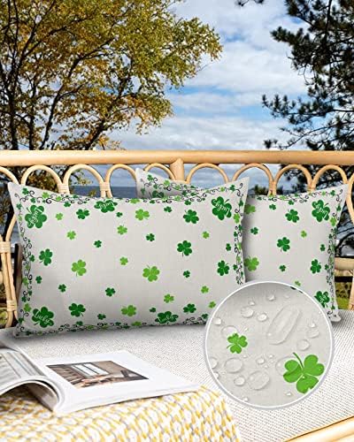 Shijh Tec St Patricks Day Waterproof Pillow Protector 2 Pack