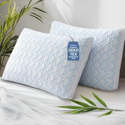 Cotelovo Shredded Memory Foam Cooling Bamboo Viscose Pillow Set of 2