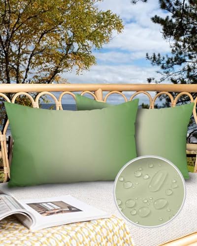 Waterproof Pillow Protector 2 Pack with Zipper