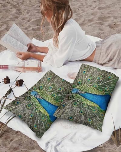 Waterproof Pillow Protector 2 Pack - 12x20 Inch