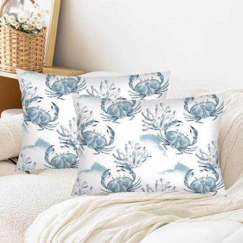 DAOPUDA Nautical Throw Pillow Covers Set of 2 Queen Size