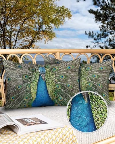 Waterproof Pillow Protector 2 Pack - 12x20 Inch