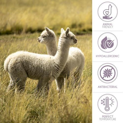 100 Baby Alpaca Throw Blanket with Silver Herringbone Fringes