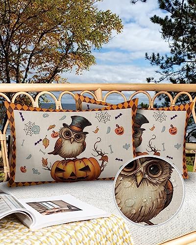 Waterproof Pillow Protector 2 Pack - Halloween Themed